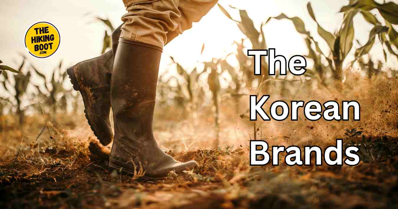 Exploring the Best Korean Hiking Brands for Adventure Enthusiasts